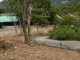  Grundstück zu verkaufen in Koh Samui, Surat Thani, Bo Phut