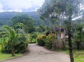 2 Schlafzimmer Villa zu vermieten in Phuket, Kamala, Kathu, Phuket