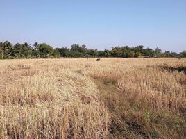  Grundstück zu verkaufen in Mueang Nong Khai, Nong Khai, Pho Chai