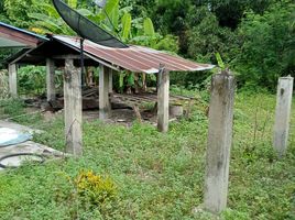 2 Schlafzimmer Haus zu verkaufen in Mueang Lampang, Lampang, Ban Ueam, Mueang Lampang