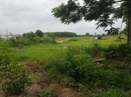  Land for sale in Rayong, Nikhom Phatthana, Nikhom Phatthana, Rayong