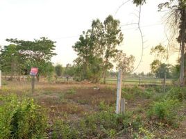  Grundstück zu verkaufen in Mueang Amnat Charoen, Amnat Charoen, Bung, Mueang Amnat Charoen