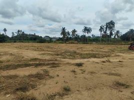  Land for sale in Ban Bueng School, Huai Yai, Huai Yai