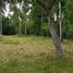  Land for sale in Laem Sor, Taling Ngam, Na Mueang