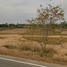  Land for sale in Yang Talat, Yang Talat, Yang Talat