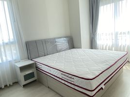 1 Bedroom Condo for rent at Niche Mono Sukhumvit - Puchao, Thepharak