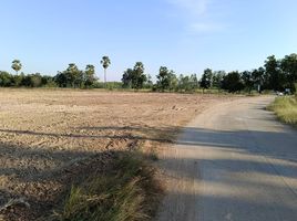  Land for sale in Ban Chian, Hankha, Ban Chian