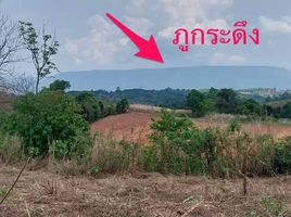  Grundstück zu verkaufen in Nam Nao, Phetchabun, Nam Nao, Nam Nao, Phetchabun