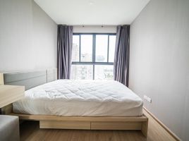 1 Bedroom Apartment for rent at Ideo O2, Bang Na, Bang Na