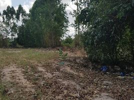  Land for sale in Rayong, Samnak Thon, Ban Chang, Rayong