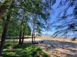  Land for sale in Krabi, Nuea Khlong, Nuea Khlong, Krabi