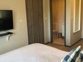 1 Bedroom Apartment for rent at The Title Halo 1, Sakhu, Thalang