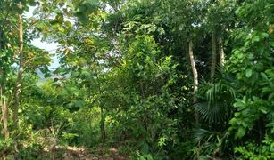 N/A Land for sale in Lo Yung, Phangnga 