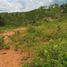  Land for sale in Brazil, Tefe, Amazonas, Brazil