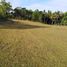  Land for sale in Bohol Central Visayas, Ubay, Bohol, Central Visayas