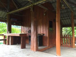2 Bedroom House for sale in Samoeng, Chiang Mai, Samoeng Tai, Samoeng