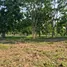  Land for sale in Chiang Rai, Huai Sak, Mueang Chiang Rai, Chiang Rai