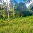  Land for sale in Taling Ngam, Surat Thani, Taling Ngam, Koh Samui, Surat Thani