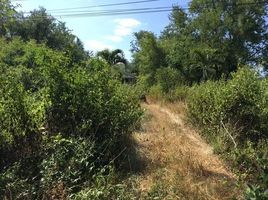  Land for sale in Thailand, Tha Li, Tha Li, Loei, Thailand