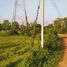  Land for sale in Trai Trueng, Mueang Kamphaeng Phet, Trai Trueng