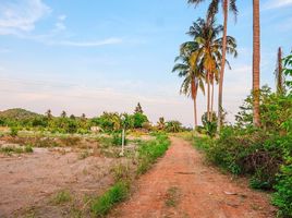  Land for sale in Pran Buri, Prachuap Khiri Khan, Wang Phong, Pran Buri