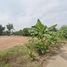  Land for sale in Prachin Buri, Tha Tum, Si Maha Phot, Prachin Buri