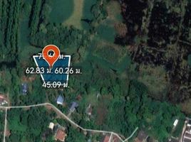  Land for sale in Nong Phrong, Si Maha Phot, Nong Phrong