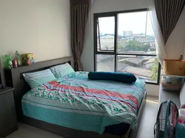 1 Schlafzimmer Wohnung zu verkaufen im Life Sukhumvit 48, Phra Khanong