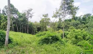 N/A Terrain a vendre à Choeng Thale, Phuket 