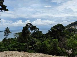  Land for sale in Jungceylon, Patong, Patong