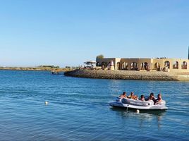 2 Schlafzimmer Appartement zu verkaufen im Abu Tig Marina, Al Gouna, Hurghada