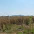  Land for sale in Pran Buri, Pran Buri, Pran Buri