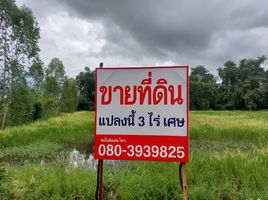  Grundstück zu verkaufen in Phen, Udon Thani, Phen, Phen