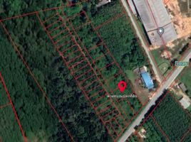  Land for sale in Songkhla, Kamphaeng Phet, Rattaphum, Songkhla