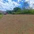  Land for sale in Mora San Jose, Mora, San Jose