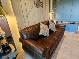 คอนโด 1 ห้องนอน ให้เช่า ในโครงการ คาราเปซ หัวหิน, หนองแก