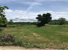  Land for sale in Sukhothai, Pa Ngio, Si Satchanalai, Sukhothai