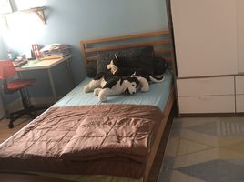 3 Schlafzimmer Wohnung zu verkaufen im Fragrant 71, Phra Khanong Nuea, Watthana