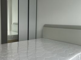 1 Schlafzimmer Wohnung zu vermieten im ARLO Sukhumvit 105 - Lasalle, Bang Na