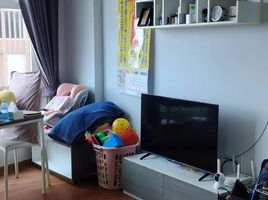 1 Schlafzimmer Wohnung zu verkaufen im Miami Condo Bangpu, Thai Ban, Mueang Samut Prakan