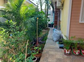 3 Bedroom House for sale in Khao Noi, Pran Buri, Khao Noi