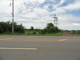  Land for sale in Oraphim, Khon Buri, Oraphim