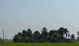 N/A Land for sale in Bueng Bon, Pathum Thani 