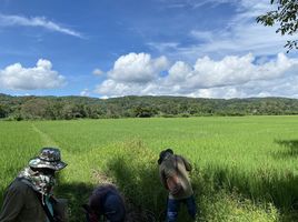  Grundstück zu verkaufen in Mae Taeng, Chiang Mai, San Pa Yang