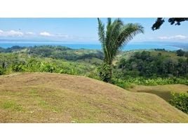  Land for sale in Puntarenas, Golfito, Puntarenas