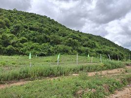  Grundstück zu verkaufen in Pran Buri, Prachuap Khiri Khan, Pak Nam Pran