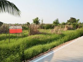  Grundstück zu verkaufen in Mueang Pathum Thani, Pathum Thani, Bang Luang