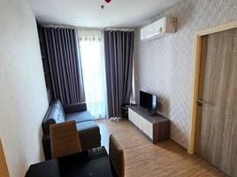 1 Bedroom Condo for rent at Ken Attitude Rattanathibet, Bang Kraso, Mueang Nonthaburi, Nonthaburi