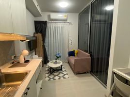 1 Schlafzimmer Wohnung zu verkaufen im Chapter One Shine Bangpo, Bang Sue, Bang Sue