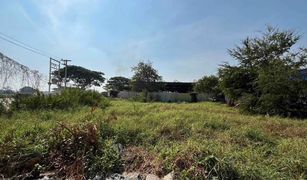 N/A Land for sale in Thanu, Phra Nakhon Si Ayutthaya 